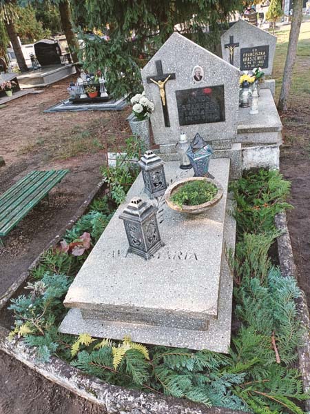 IMG20231030105543 Mycie okien