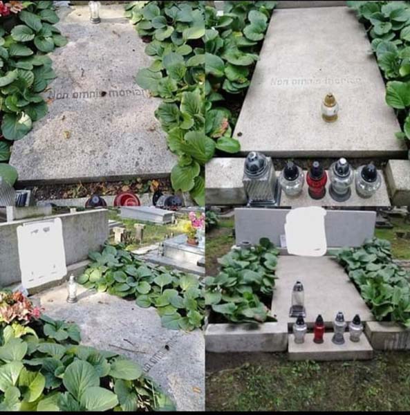 IMG_20231012_093642 Sprzątanie biur, sklepów i firm Toruń